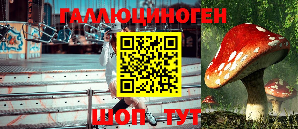 Псилоцибиновые грибы Psilocybe Ржев