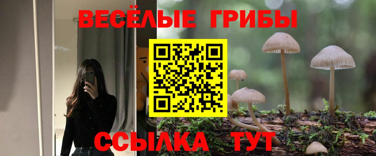Псилоцибиновые грибы мухоморы  цены наркотик  Ржев  Галлюциногенные грибы прущие грибы  Вход с VPN 